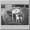 bw27.html