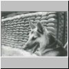 bw29.html
